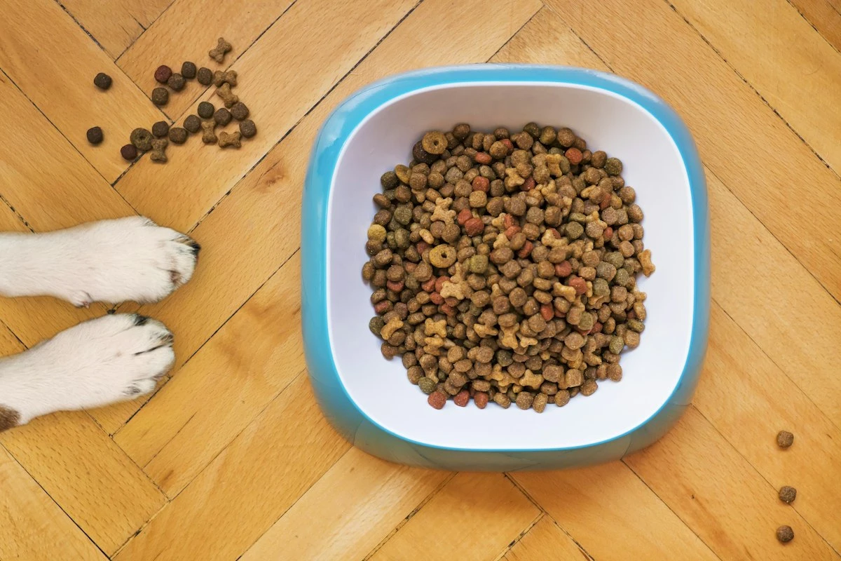 Yetişkin Köpek Maması